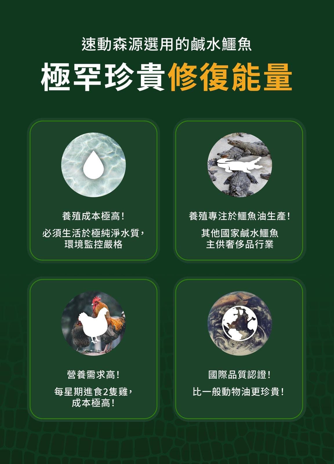森源 純正鱷敏油50ml